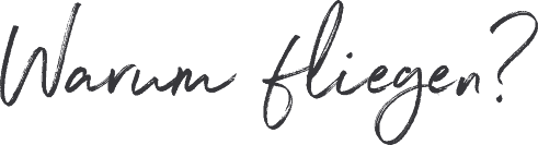 Seminar Warum fliegen?, Logo grau